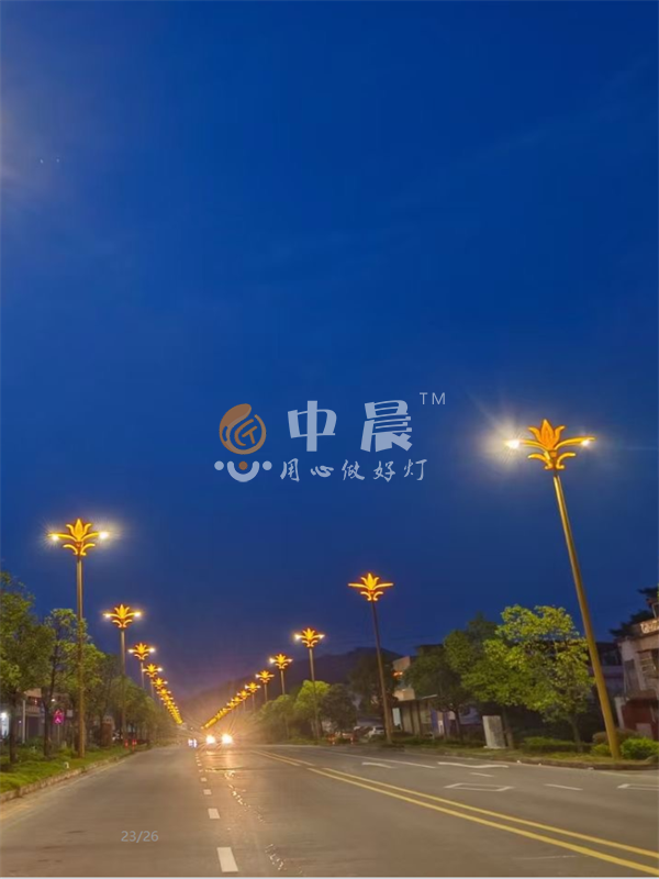 太陽(yáng)能路燈安裝案列圖展示